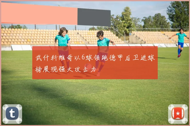武什科维奇以6球领跑德甲后卫进球榜展现强大攻击力