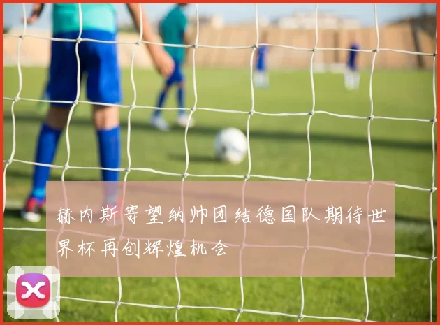 赫内斯寄望纳帅团结德国队期待世界杯再创辉煌机会